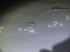 プランの魅力 ウサギの足跡です の画像