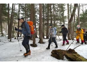 プランの魅力 皆さんのペースで無理なく歩きます の画像