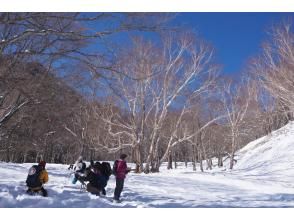 プランの魅力 冬ならではのお気に入りの景色を探しましょう の画像