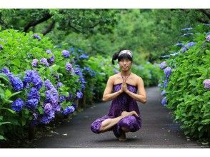 プランの魅力 紫陽花ロード の画像