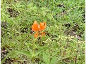 プランの魅力 樹林帯の中を通ります の画像