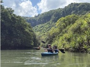 プランの魅力 水面に映る緑を眺めながら進む、癒しのカヌー体験 の画像