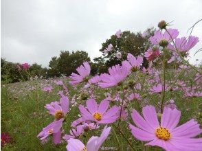 プランの魅力  の画像