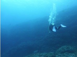 プランの魅力 ルカン礁（ドリフト） の画像