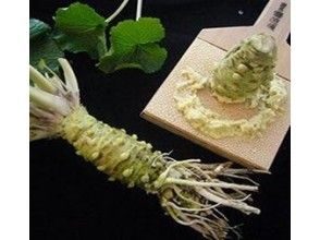 プランの魅力 の画像