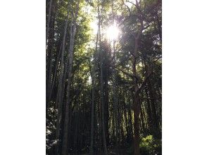 プランの魅力 の画像
