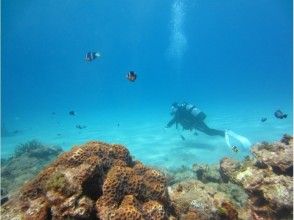プランの魅力 青い海! の画像