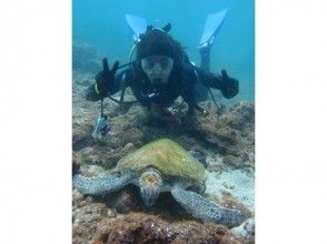 プランの魅力 ウミガメと遭遇することも! の画像