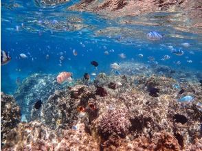 プランの魅力 在幻影岛周围的海中体验浮潜！ の画像