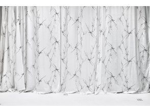 プランの魅力 Background Pattern 2 の画像