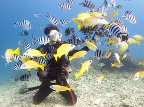 プランの魅力 まるで水族館みたい♪ の画像