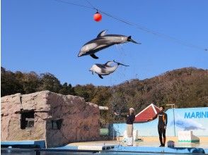 プランの魅力 の画像