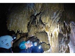 プランの魅力 鍾乳石が大量！ の画像