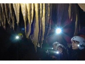 プランの魅力 鍾乳石がでかい！ の画像