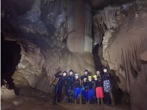 プランの魅力 ファミリーの年賀状にも！ の画像