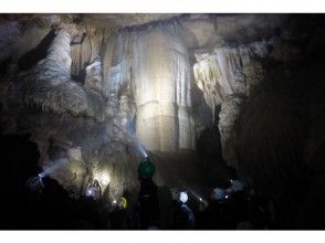 プランの魅力 大石柱! の画像
