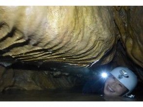 プランの魅力 低い! の画像