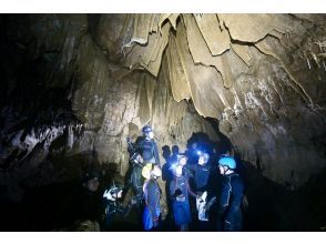 プランの魅力 鍾乳石のバリエーション！ の画像