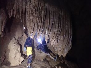 プランの魅力 巨大クラゲ岩！ の画像