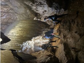 プランの魅力 輝いてる！ の画像