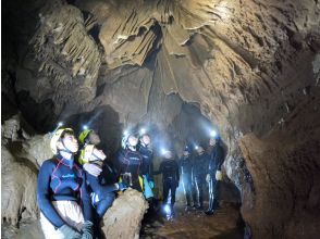 プランの魅力 団体様にも！ の画像