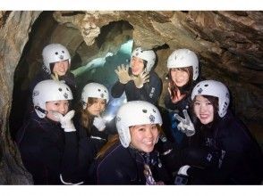 プランの魅力 楽しい! の画像