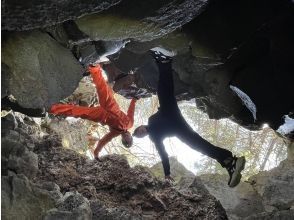 プランの魅力 季節を切り取る の画像