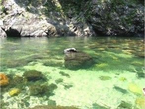 プランの魅力 透明度抜群! の画像