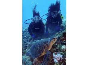 プランの魅力 Commemorative photo with sea turtles! の画像