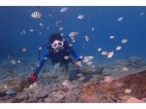 プランの魅力 The sea with a dark fish shadow の画像