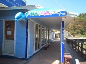 プランの魅力 Please come to the "Dolphin Beach Counter" in the building! の画像