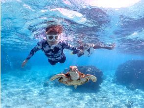 プランの魅力 A thrilling experience swimming with sea turtles! Small group snorkeling for beginners の画像