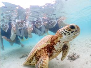プランの魅力 An exciting Miyakojima experience where you can meet sea turtles at a very close distance! の画像