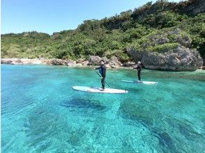 プランの魅力  の画像