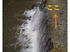 プランの魅力 川橋を渡ります! の画像