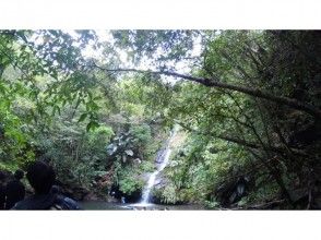 プランの魅力 滝壺到着 の画像