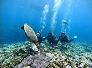 プランの魅力 運が良ければ・・ の画像