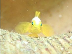 プランの魅力 西海岸/宜野湾 の画像