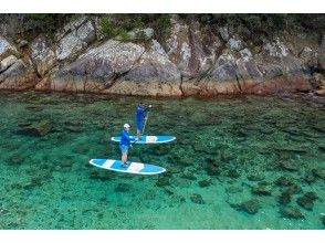 プランの魅力 透明度の高い南阿波の海 の画像