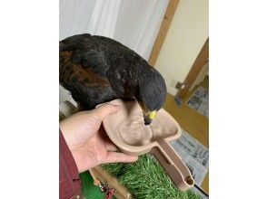 プランの魅力 その他飼育 の画像