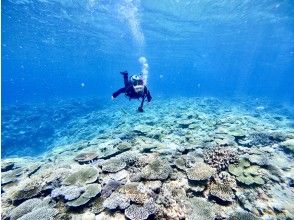 プランの魅力 ブランクダイバーさんも大歓迎 の画像