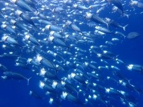 プランの魅力 大自然の未知なる世界へ! の画像
