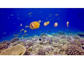 プランの魅力 水納島ブルー の画像