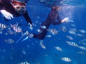 プランの魅力 シュノーケル の画像