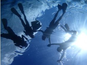 プランの魅力 In the sea like the sky の画像