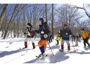 プランの魅力 白銀の雪の森へ！ の画像