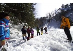 プランの魅力 雪の森×自然解説員=目からウロコ! の画像