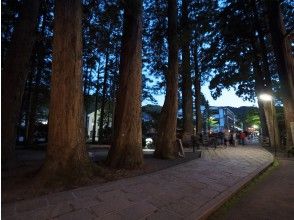 プランの魅力 の画像
