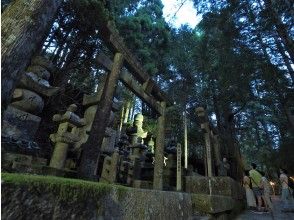 プランの魅力  の画像