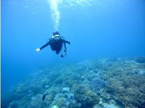 プランの魅力 ライセンスは持っているけど・・ の画像